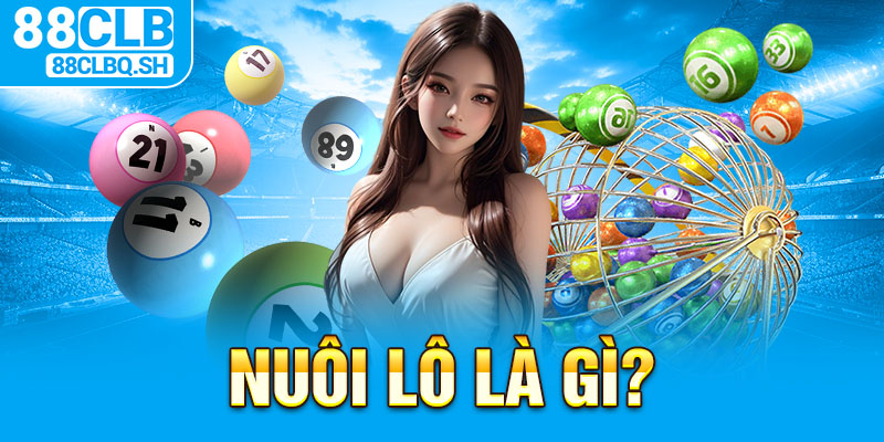 Nuôi Lô Là Gì?