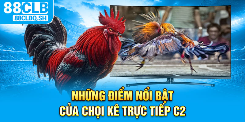 Những điểm nổi bật của chọi kê trực tiếp C2