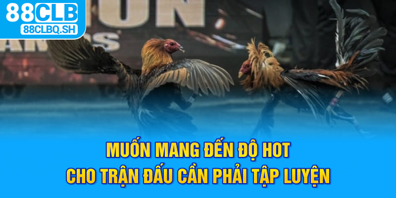 Muốn mang đến độ hot cho trận đấu cần phải tập luyện