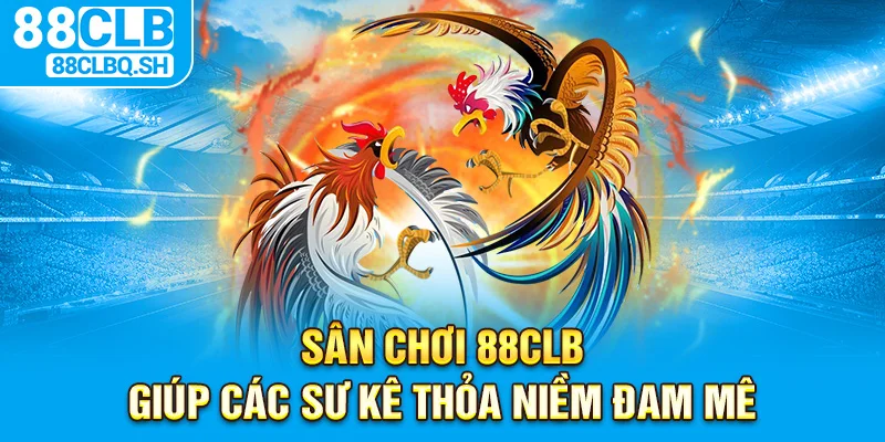Sân chơi 88CLB giúp các sư kê thỏa niềm đam mê